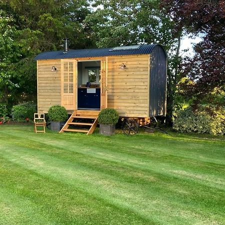 Bannfield Shepherds Hut Ballymoney Exteriér fotografie
